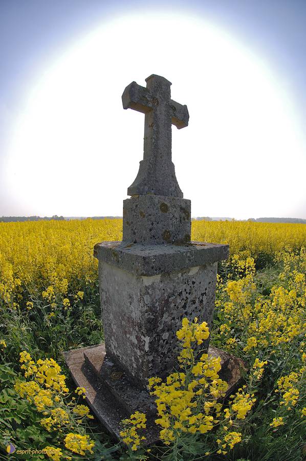 Nom de l'image : D2162669_1_(c)Norbert-JUNG — Description :